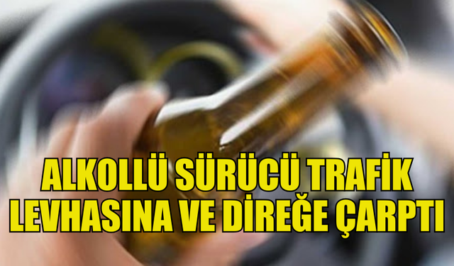 ALKOLLÜ SÜRÜCÜ ORTA REFÜJE ÇIKTI