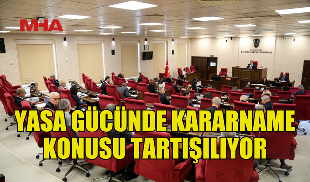 MECLİSTE YASA GÜCÜNDE KARARNAME KONUSU TARTIŞILIYOR