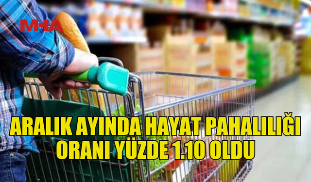 ARALIK AYI HAYAT PAHALILIĞI ORANI YÜZDE 1.10 OLARAK AÇIKLANDI