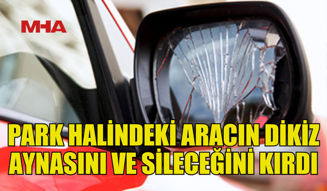 PARK HALİNDEKİ ARACA ZARAR VEREN ŞAHIS YAKALANDI