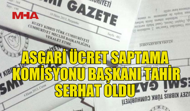 ASGARİ ÜCRET SAPTAMA KOMİSYONU BAŞKANLIĞINA TAHİR SERHAT ATANDI