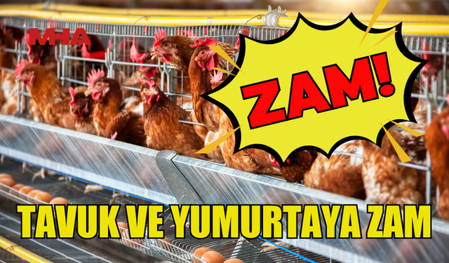 TAVUK VE YUMURTAYA ZAM GELDİ!