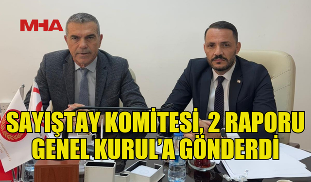 SAYIŞTAY KOMİTESİ, MALİ RAPORLARI OY BİRLİĞİYLE ONAYLADI