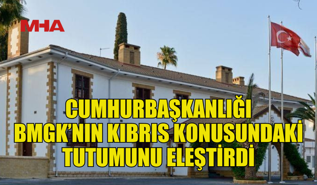 CUMHURBAŞKANLIĞINDAN BMGK’YA ELEŞTİRİ