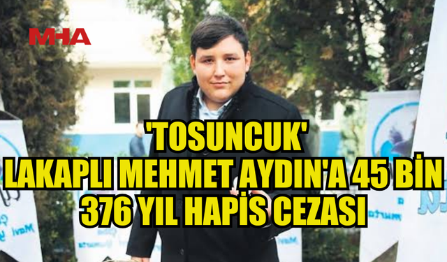 TOSUNCUK’A BİLİŞİM SUÇLARINDAN 45 BİN 376 YIL HAPİS CEZASI!