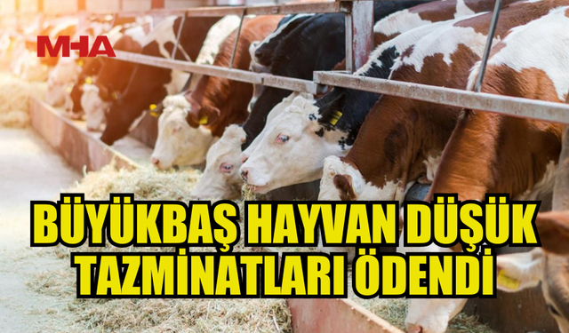 122 ÜRETİCİYE 926 BİN TL ÖDEME YAPILDI