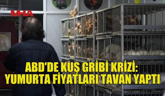 ABD'DE KUŞ GRİBİ, YUMURTA FİYATLARINI ARTIRDI