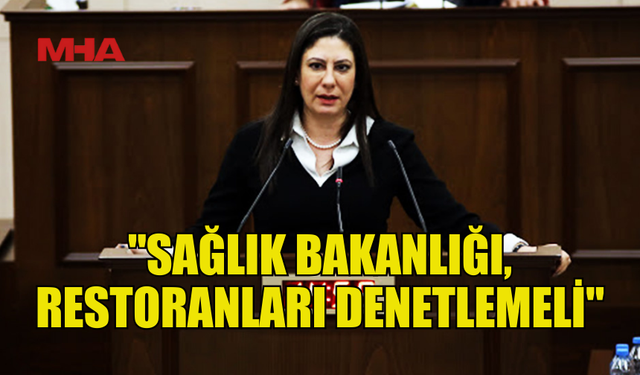 İNCİRLİ: "GIDA MÜHENDİSLİĞİ YASALARI GÜNCELLENMELİ"