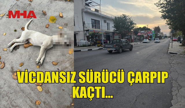 BÖLGE HALKI İSYAN ETTİ HERYERDE KASİS VAR BURADA YOK