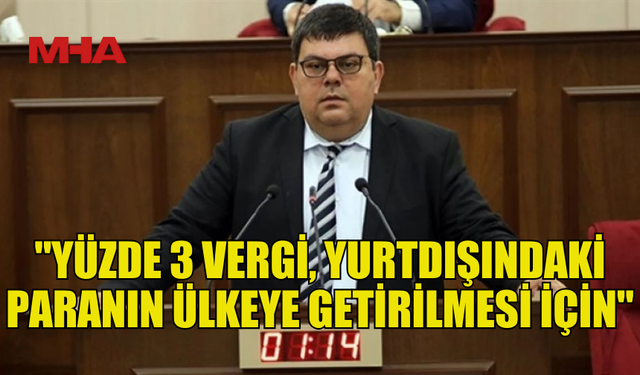 BEROVA: "YÜZDE 3 VERGİ, YURTDIŞINDAKİ PARANIN ÜLKEYE GETİRİLMESİ İÇİN"