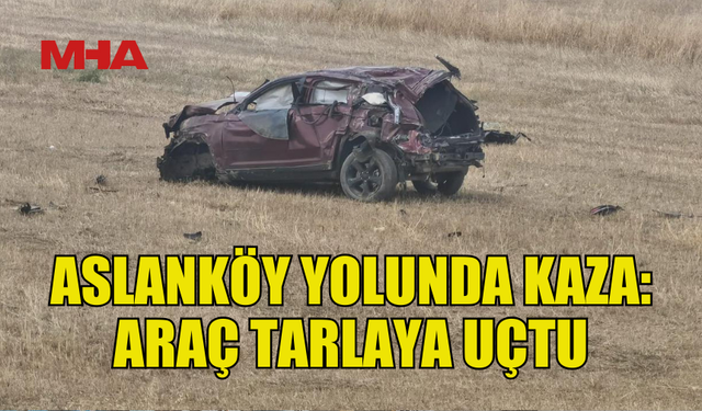 ASLANKÖY YOLUNDA KAZA!