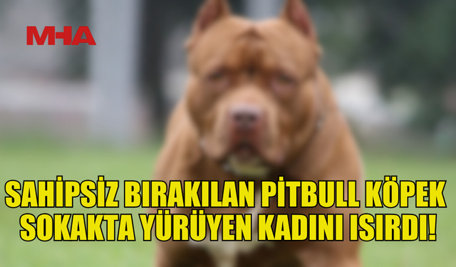 ALSANCAK'TA PİTBULL SALDIRISI: 50 YAŞINDAKİ KADIN YARALANDI