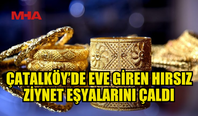 ÇATALKÖY'DE EV SOYULDU: 19 YAŞINDAKİ ZANLI TUTUKLANDI!