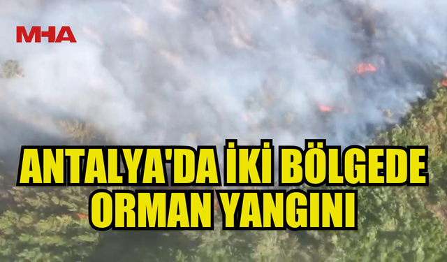 ANTALYA'DA İKİ BÖLGEDE ORMAN YANGINI: HAVADAN VE KARADAN MÜDAHALE EDİYOR
