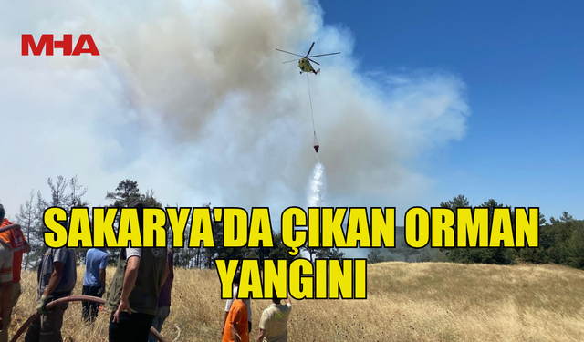 SAKARYA'DA ÇIKAN ORMAN YANGININA MÜDAHALE SÜRÜYOR