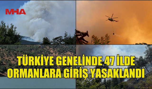 TÜRKİYE GENELİNDE 47 İLDE ORMANLARA GİRİŞ YASAKLANDI