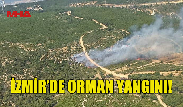 İZMİR'DE ÇIKAN ORMAN YANGININA MÜDAHALE EDİLİYOR