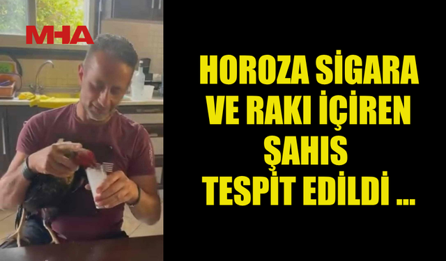 HOROZA SİGARA VE RAKI İÇİREN ŞAHIS TESPİT EDİLDİ ...