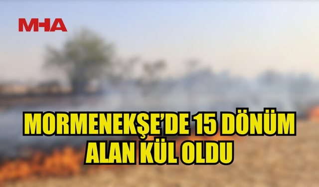15 DÖNÜMLÜK ALAN ALEV ALEV YANDI