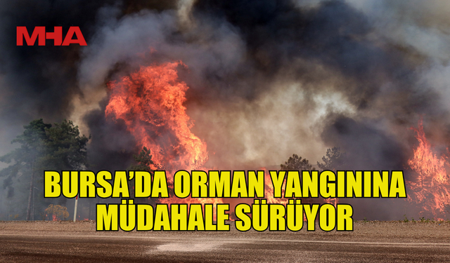 BURSA’DA ORMAN YANGINA MÜDAHALE SÜRÜYOR