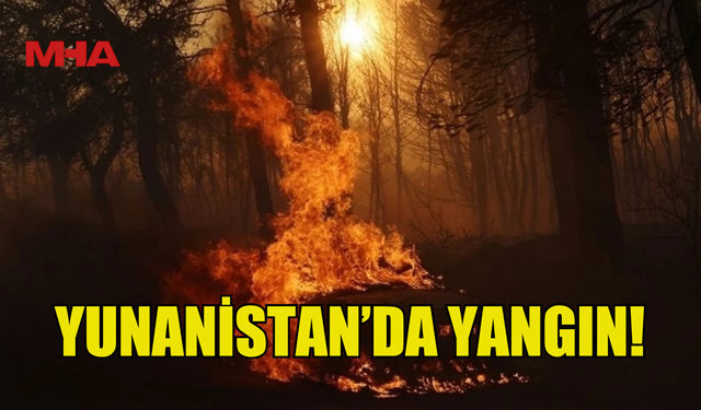 YUNANİSTAN'DAKİ SEREZ VE OREOKASTRO'DA ORMAN YANGINI ÇIKTI