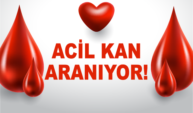 YOĞUN BAKIMDAKİ HASTA İÇİN ACİL TROMBOSİT ÇAĞRISI