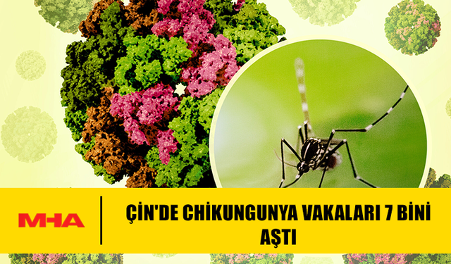 ÇİN'DE CHİKUNGUNYA VAKALARI 7 BİNİ AŞTI