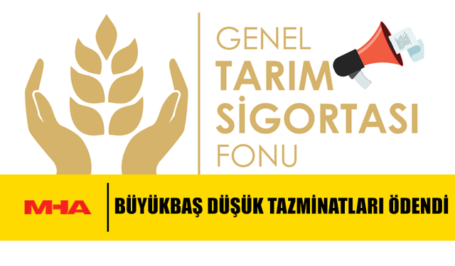 BÜYÜKBAŞ DÜŞÜK TAZMİNATLARI ÖDENDİ