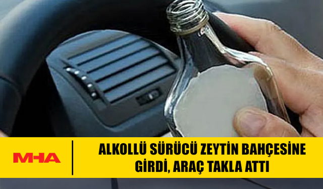ALKOLLÜ SÜRÜCÜ ZEYTİN BAHÇESİNE GİRDİ, ARAÇ TAKLA ATTI