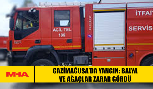 GAZİMAĞUSA’DA YANGIN: BALYA VE AĞAÇLAR ZARAR GÖRDÜ