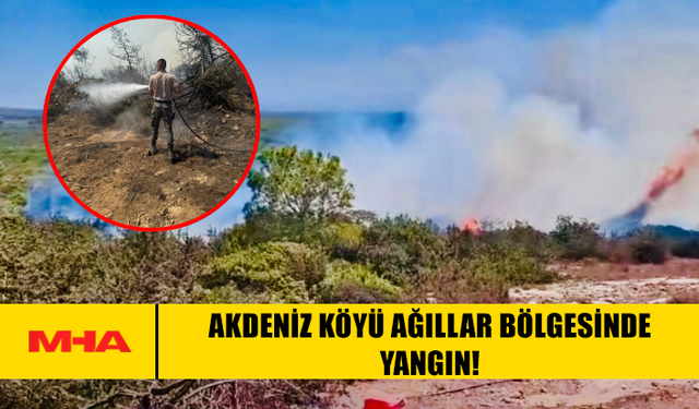 AKDENİZ KÖYÜ AĞILLAR BÖLGESİNDE YANGIN!