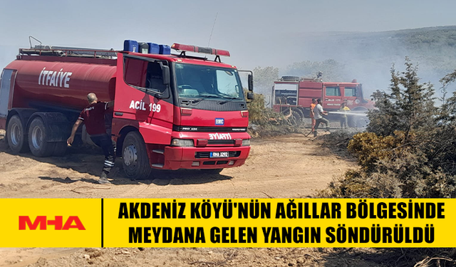 AKDENİZ KÖYÜ'NDE MEYDANA GELEN YANGIN SÖNDÜRÜLDÜ