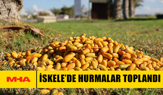 İSKELE’DE HURMA DAĞITIMI GELENEĞİ SÜRÜYOR