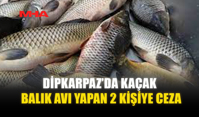 DİPKARPAZ’DA KAÇAK BALIK AVI YAPAN 2 KİŞİYE CEZA