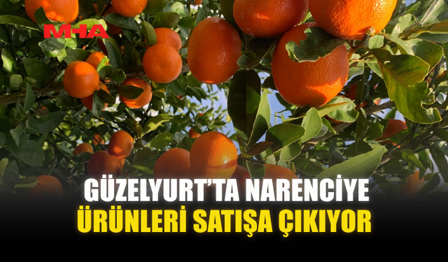 GÜZELYURT’TA NARENCİYE ÜRÜNLERİ SATIŞA ÇIKIYOR