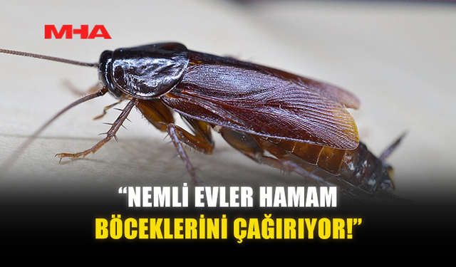 “NEMLİ EVLER HAMAM BÖCEKLERİNİ ÇAĞIRIYOR!”