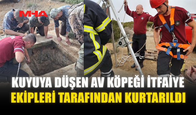 KUYUYA DÜŞEN AV KÖPEĞİ İTFAİYE EKİPLERİ TARAFINDAN KURTARILDI