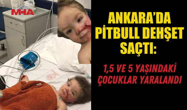 ANKARA’DA PİTBULL D*HŞET SAÇTI