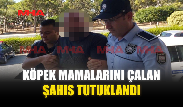 KÖPEK MAMALARINI ÇALAN ŞAHIS TUTUKLANDI