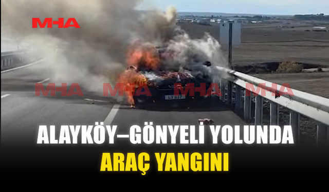 ALAYKÖY–GÖNYELİ YOLUNDA ARAÇ YANGINI