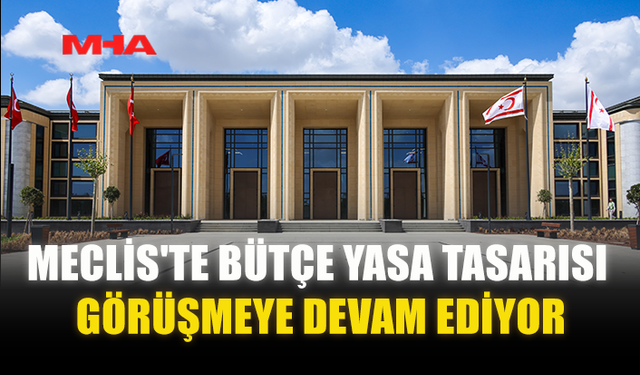 MECLİS'TE BÜTÇE YASA TASARISI GÖRÜŞMEYE DEVAM EDİYOR