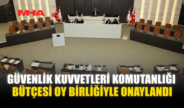 GÜVENLİK KUVVETLERİ KOMUTANLIĞI BÜTÇESİ OY BİRLİĞİYLE ONAYLANDI