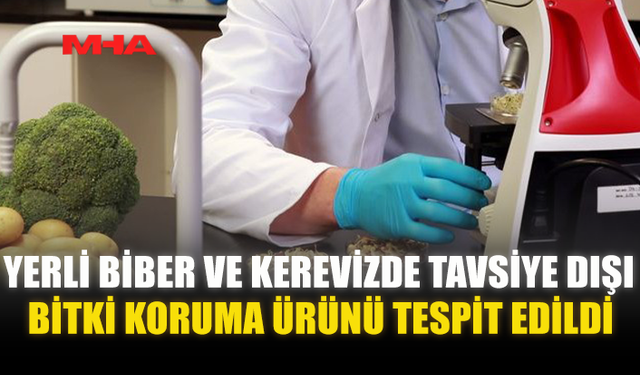 YERLİ BİBER VE KEREVİZDE TAVSİYE DIŞI BİTKİ KORUMA ÜRÜNÜ TESPİT EDİLDİ