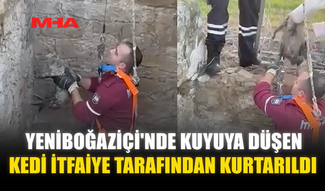 YENİBOĞAZİÇİ'NDE KUYUYA DÜŞEN KEDİ İTFAİYE TARAFINDAN KURTARILDI