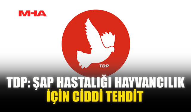TDP: ŞAP HASTALIĞI HAYVANCILIK İÇİN CİDDİ TEHDİT