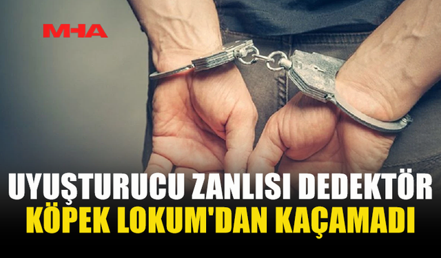 UYUŞTURUCU ZANLISI DEDEKTÖR KÖPEK LOKUM'DAN KAÇAMADI