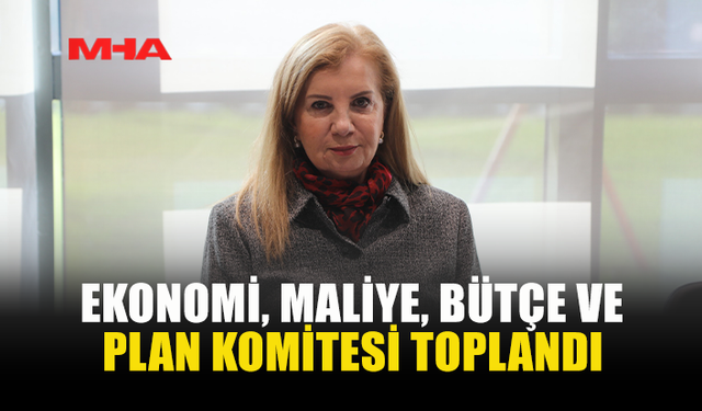 EKONOMİ, MALİYE, BÜTÇE VE PLAN KOMİTESİ TOPLANDI