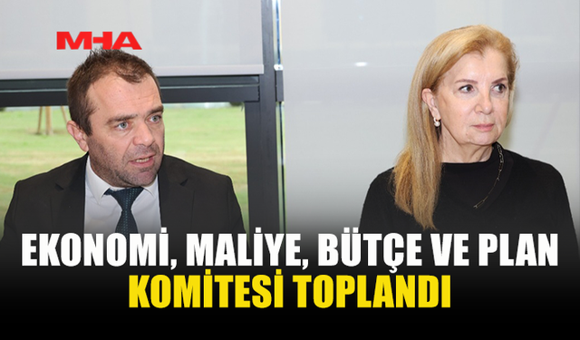 EKONOMİ, MALİYE, BÜTÇE VE PLAN KOMİTESİ TOPLANDI