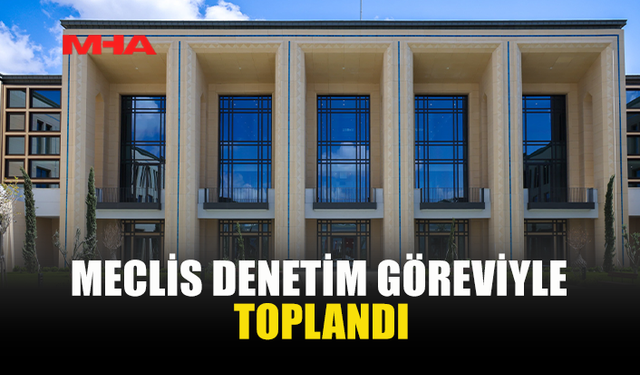MECLİS DENETİM GÖREVİYLE TOPLANDI