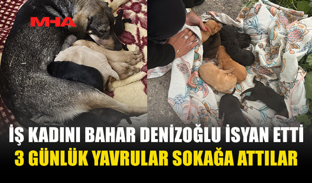 İŞ KADINI BAHAR DENİZOĞLU İSYAN ETTİ